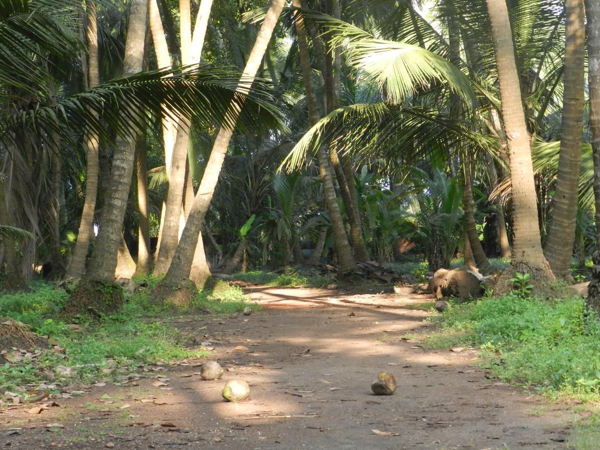 מלון Dāpoli Bangli, The Finest Konkan Living מראה חיצוני תמונה