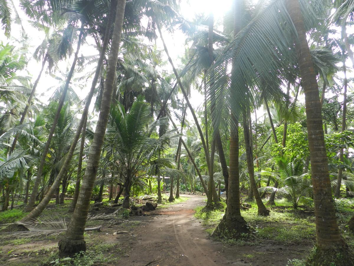 מלון Dāpoli Bangli, The Finest Konkan Living מראה חיצוני תמונה