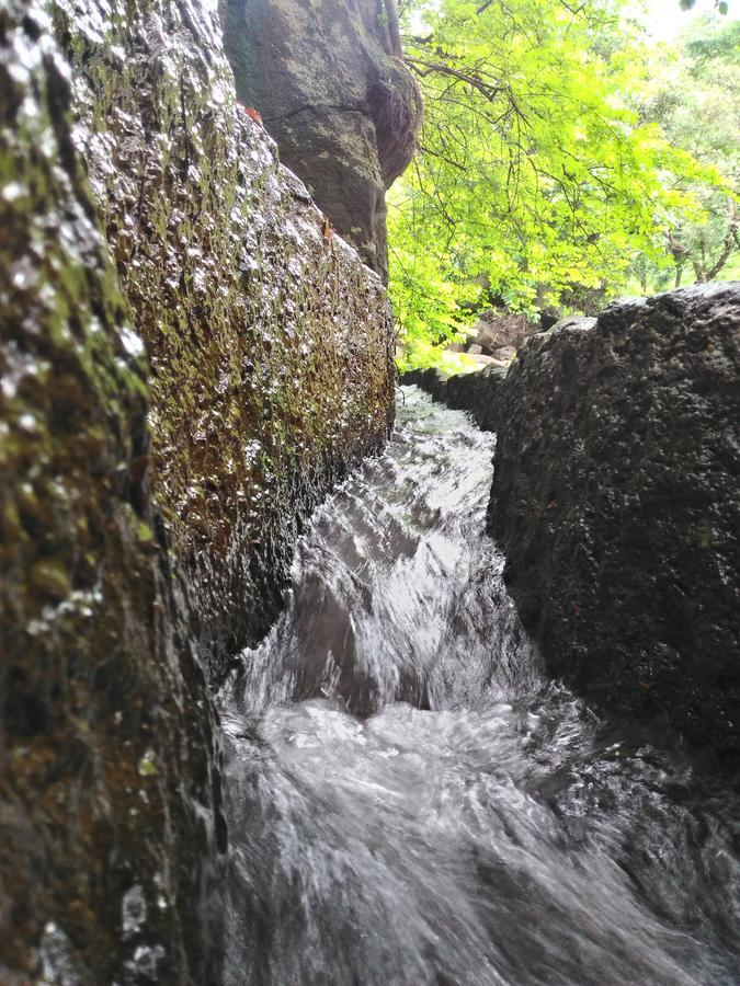 מלון Dāpoli Bangli, The Finest Konkan Living מראה חיצוני תמונה